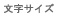 文字サイズ